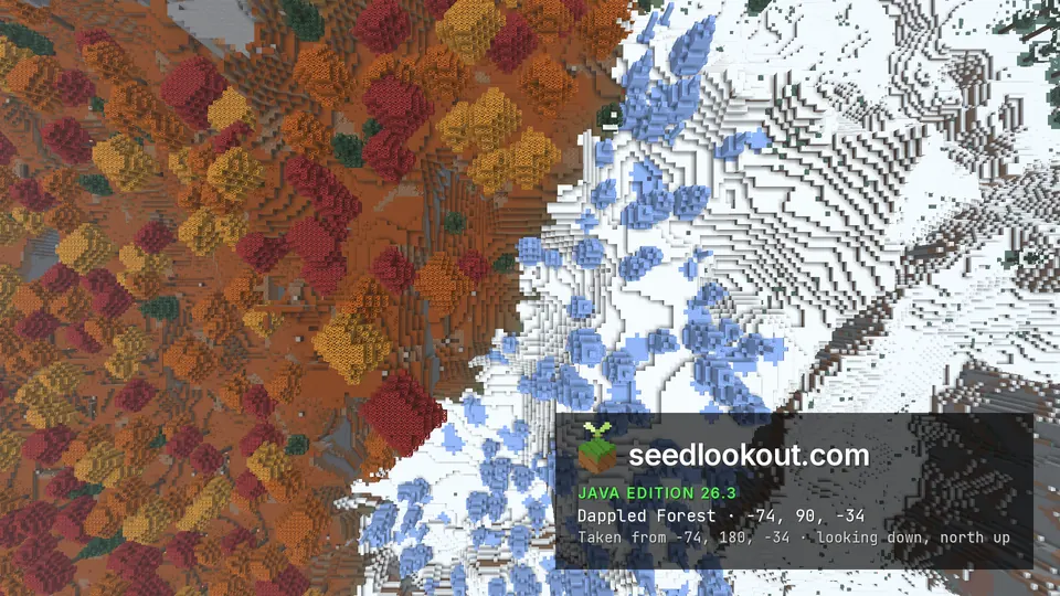 Top-down view of orange and red treetops ending in a sharp line against white snow and blue ice spikes